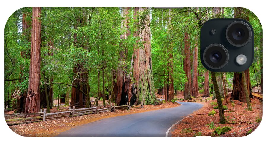 Big Basin iPhone Case featuring the photograph Big Basin Redwoods State Park, 2 by Glenn Franco Simmons