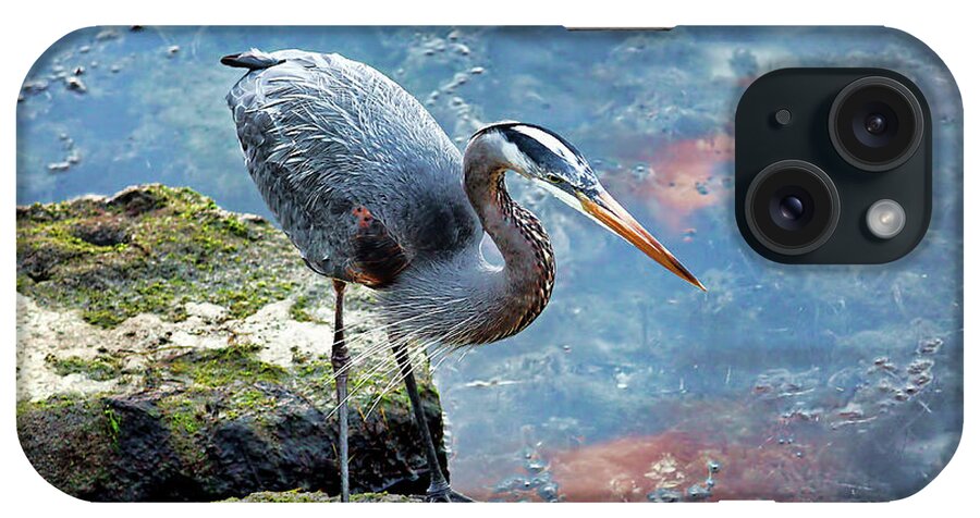 Great Blue Heron iPhone Case featuring the photograph Big Blue aka Great Blue Heron by HH Photography of Florida