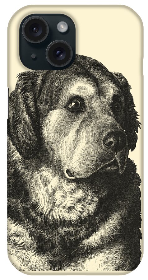 Pyrenean Mountain Dog iPhone Case featuring the digital art Big Cute Dog Portrait by Madame Memento