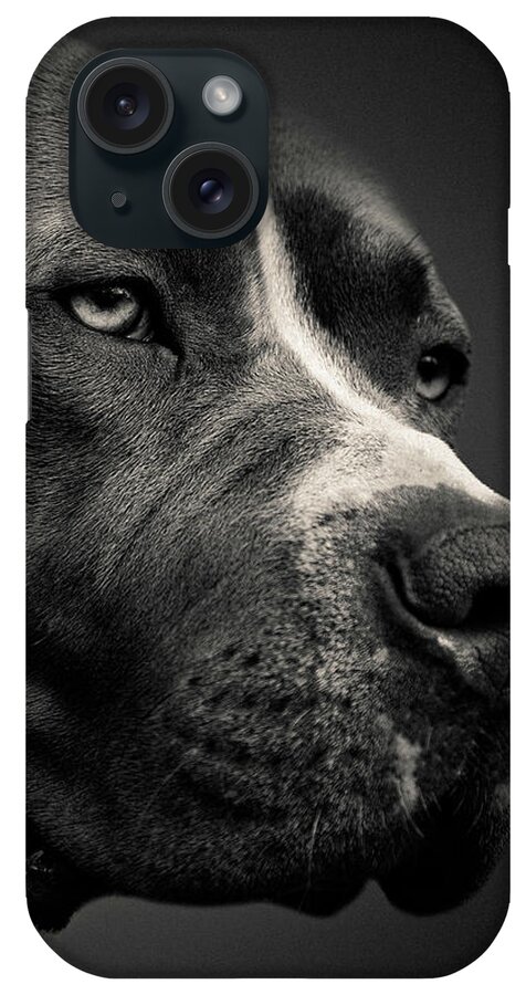 Pitbull iPhone Case featuring the photograph Big Fella by Dave Bowman