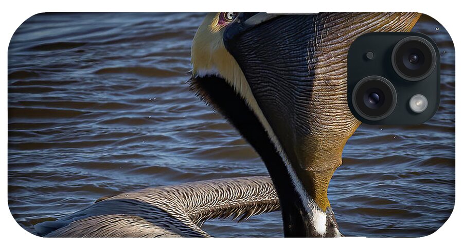 Pelican iPhone Case featuring the photograph Big Gulp by JASawyer Imaging