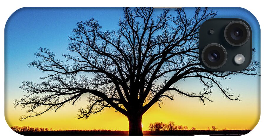Big Oak Tree iPhone Case featuring the photograph Big Oak Tree at Sunset by Harold Rau