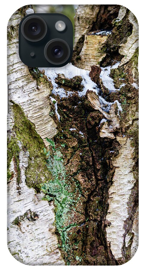 Birch iPhone Case featuring the digital art Birch in Hiding by LGP Imagery