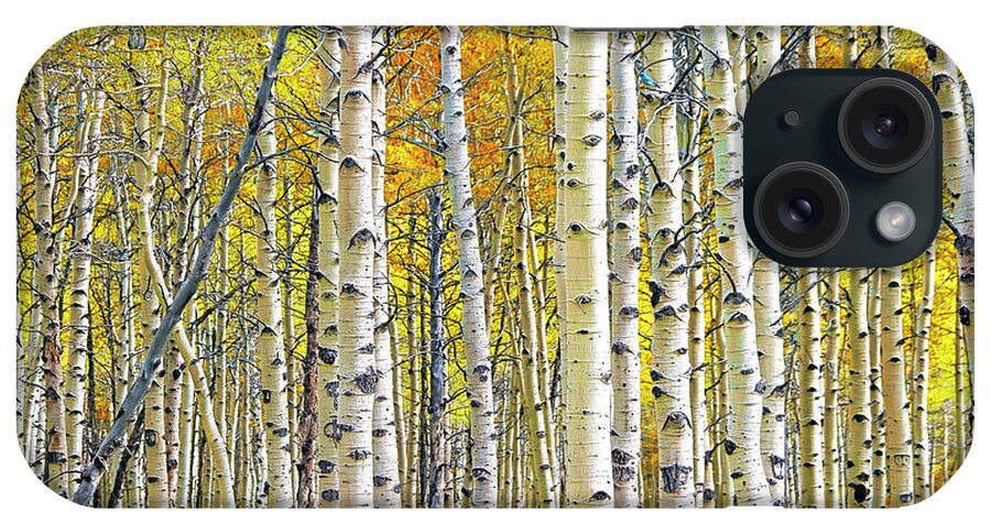 Nature iPhone Case featuring the photograph Birch Tree Grove in Autumn Yellow Color by Randall Nyhof