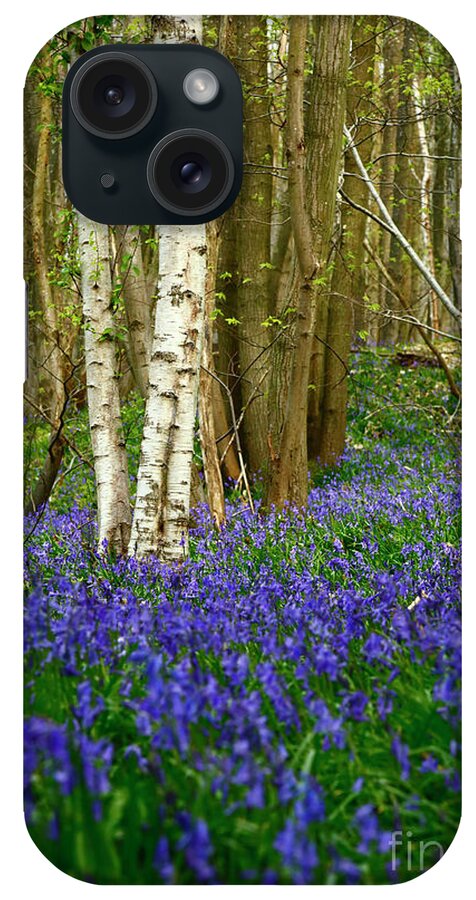 Bluebell Woods iPhone Case featuring the photograph Birch Tree Trunks and Bluebell Woods England by James Brunker