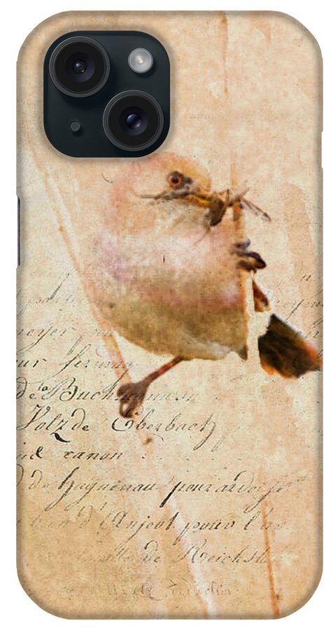 Bird iPhone Case featuring the digital art Bird and Bug by Cindy Collier Harris