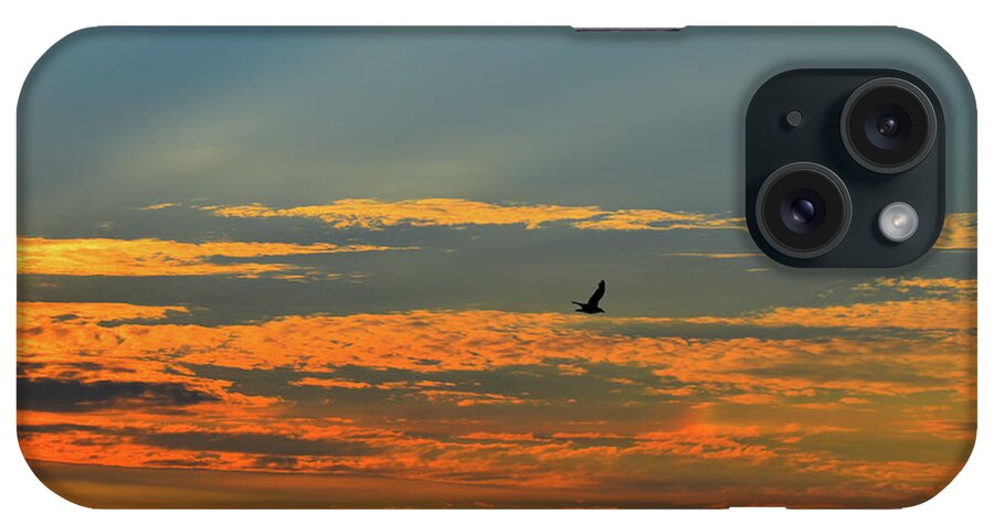 Soul iPhone Case featuring the photograph Bird of The Soul And The Sunset by Leonida Arte