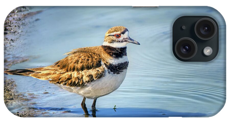 Birds iPhone Case featuring the photograph Bird Portrait - Killdeer by Nikolyn McDonald