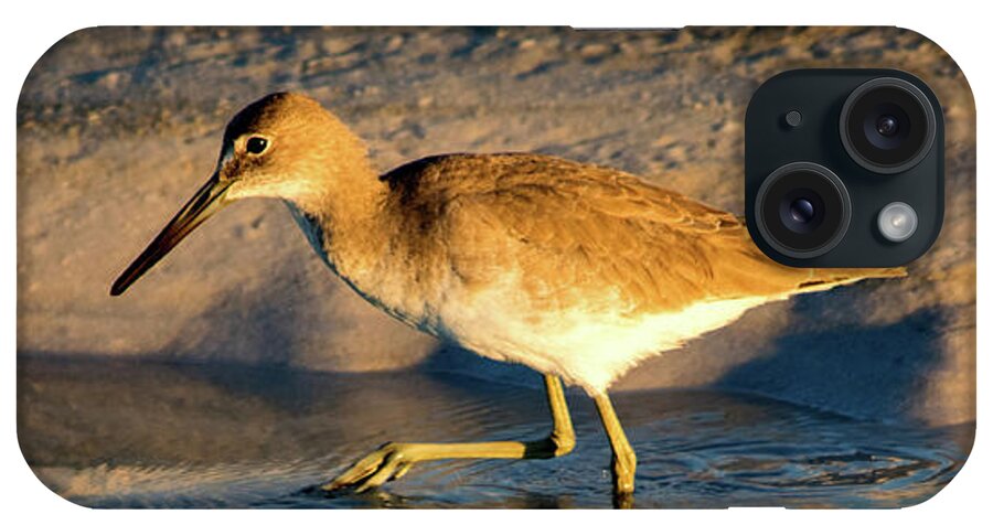 Willet iPhone Case featuring the photograph Bird Reflection on the Beach by Beachtown Views