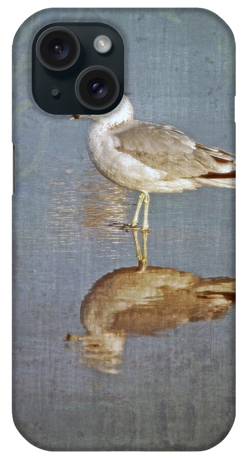 Fine Art iPhone Case featuring the photograph Bird Reflection by Shara Abel