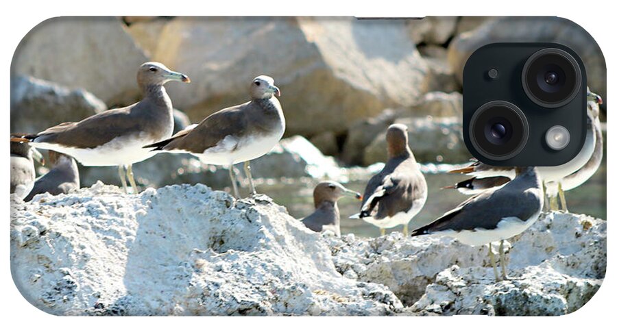  iPhone Case featuring the photograph Birds 75 by Eric Pengelly