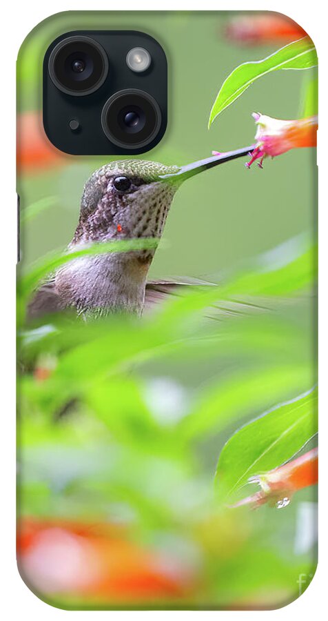 Ruby Throated iPhone 15 Case featuring the photograph Birds Eye View by Chris Scroggins