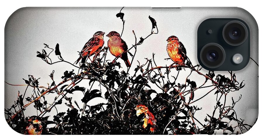  iPhone Case featuring the digital art Birds Of A Feather by Fred Loring