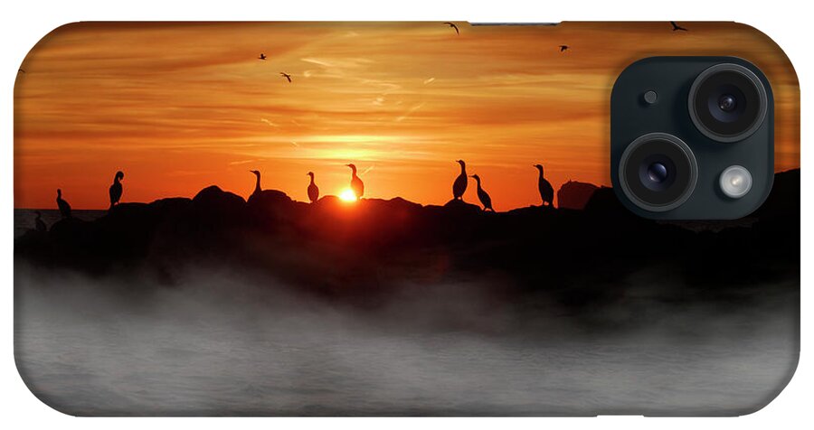 Rippled; Plain; Picture; Evening Sky; Black; Surise; Sunset; Golden; Yellow; Coast; Calming; Background; Relaxing; Ripples; Chill; Beautiful; Panorama; Scene; Sunset Background; Vivid; Vacation; Sun; Sky; Evening; Horizon; Quiet; Sea; Fog iPhone Case featuring the photograph Birds silhouette on the fog sunset by Severija Kirilovaite