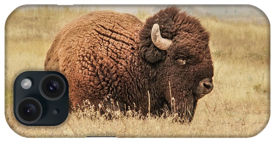 Bison iPhone Case featuring the photograph Bison at Rest in a Field by Nancy Gleason