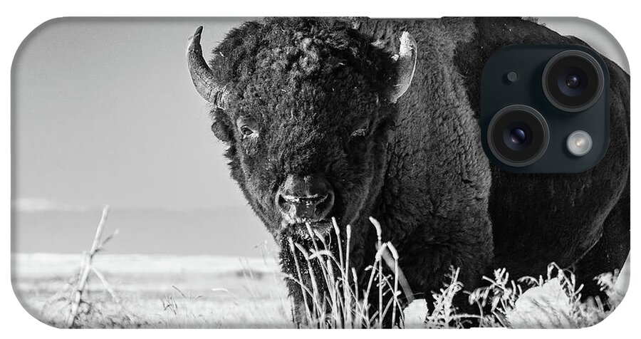 Bison iPhone Case featuring the photograph Bison in Black and White by Mindy Musick King