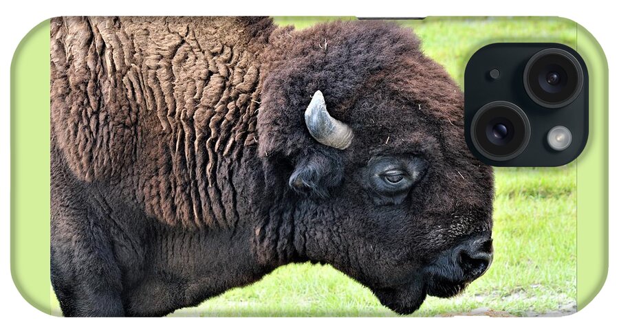 Bison Macro iPhone Case featuring the photograph Bison Macro by Warren Thompson