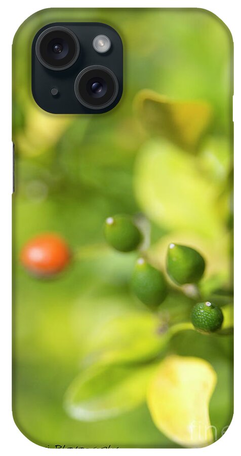 Green iPhone Case featuring the photograph Bits and Buds by Vicki Ferrari
