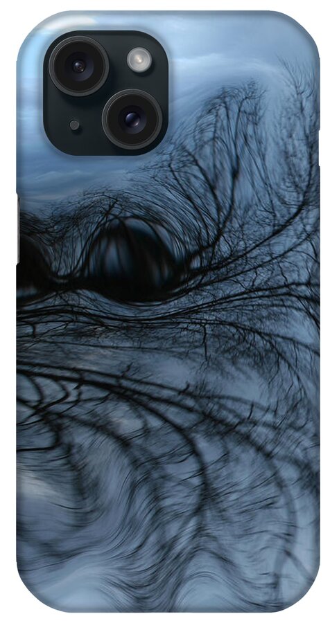 Tree Art iPhone Case featuring the photograph Black and blue by Linda Sannuti