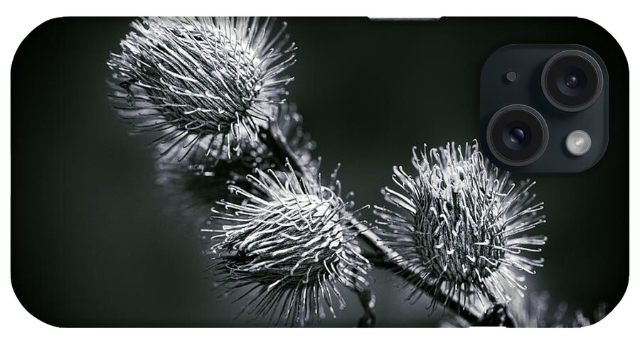 Black And White Photography iPhone Case featuring the photograph Black and White by Carrie Hannigan
