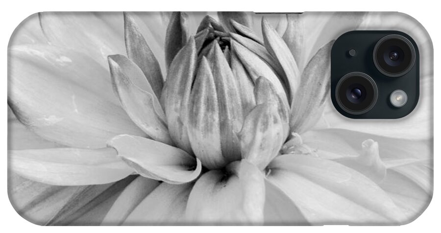 Flower iPhone Case featuring the photograph Black and White Dahlia 3 by Amy Fose