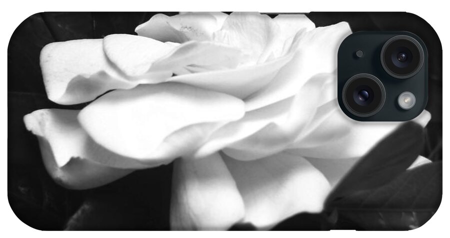 Black And White iPhone Case featuring the photograph Black and White Gardenia Flower for Home Decor Wall Prints by Delynn Addams