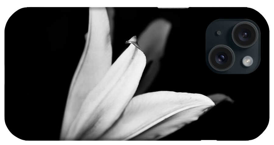 Lily iPhone Case featuring the photograph Black and White Lily by Carrie Hannigan