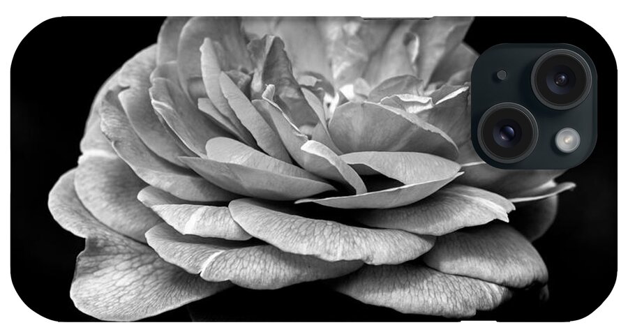 Black And White iPhone Case featuring the photograph Black and White Rose by Carrie Hannigan