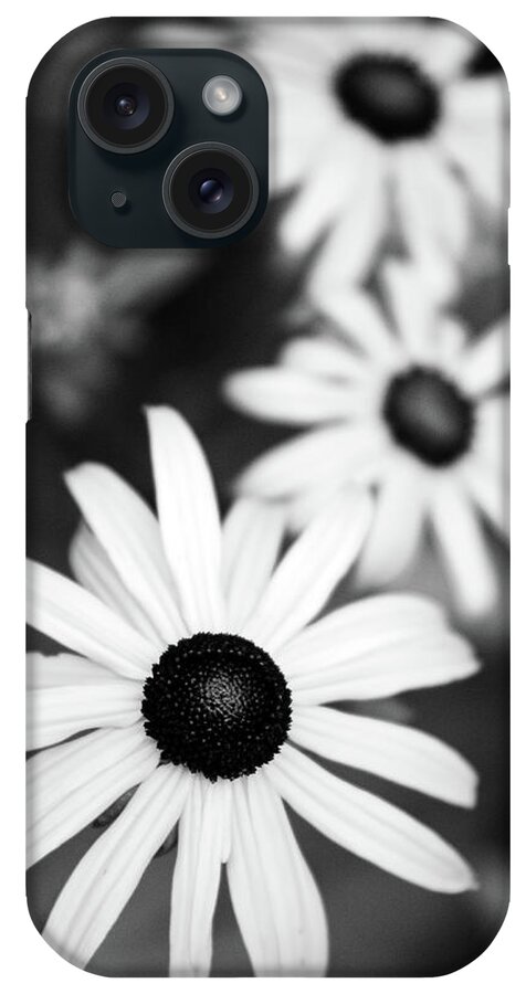 Black And White iPhone Case featuring the photograph Black and White Susans by Christina Rollo