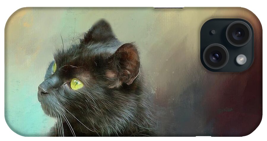 Cat iPhone Case featuring the photograph Black Cat Resting by Eva Lechner