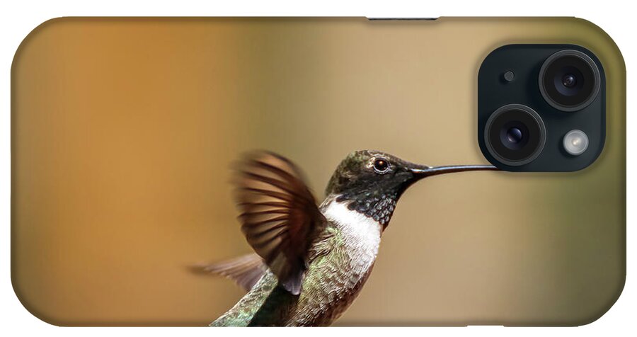 Arizona iPhone Case featuring the photograph Black Chinned Hummingbird in Flight 2 by Dawn Richards