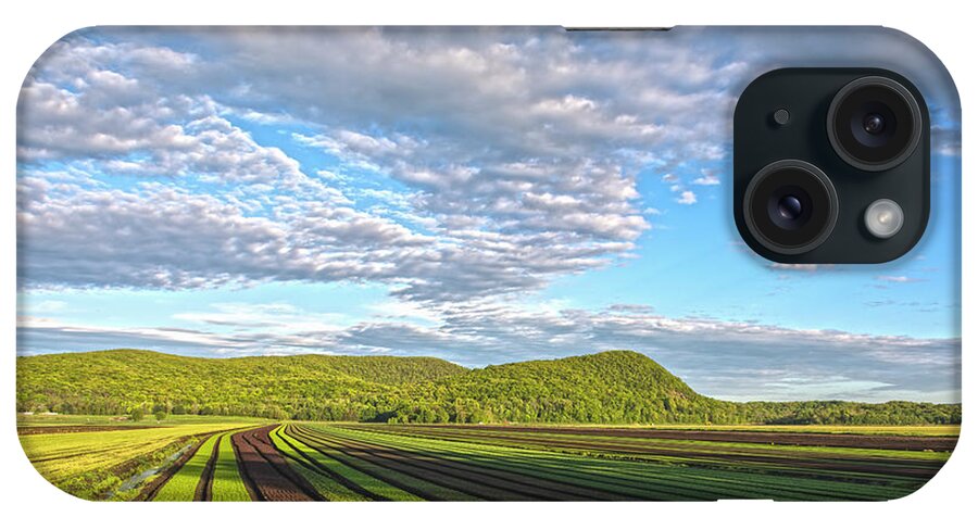 Farms iPhone Case featuring the photograph Black Dirt Farm Rows by Angelo Marcialis
