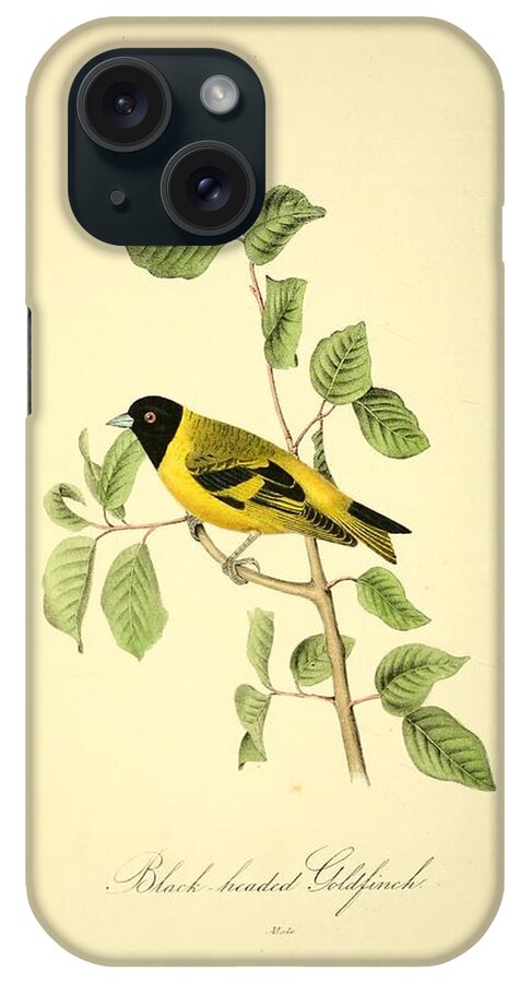 Birds iPhone Case featuring the mixed media Black headed Goldfinch by World Art Collective