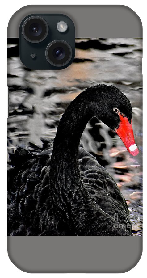 Swan iPhone Case featuring the photograph Black Swan Relaxing by Linda Brittain