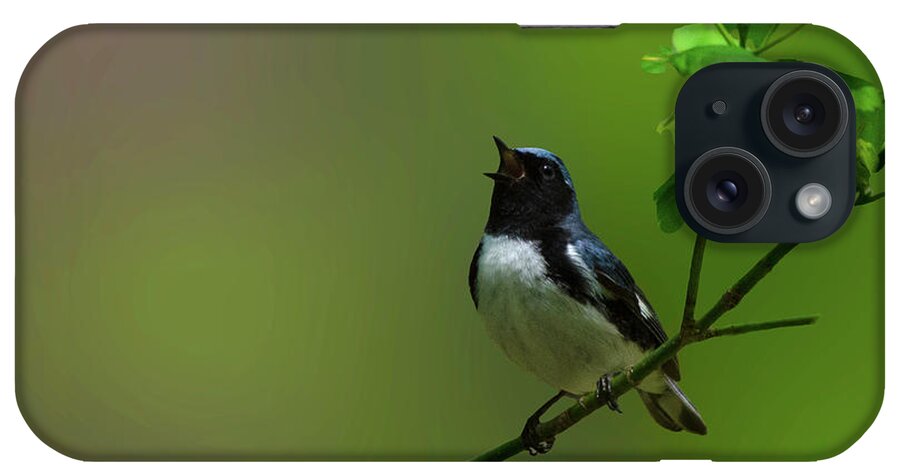 Black Throated Blue Warbler Sings To Delight iPhone Case featuring the photograph Black Throated Blue Warbler Sings to Delight by Carolyn Hall