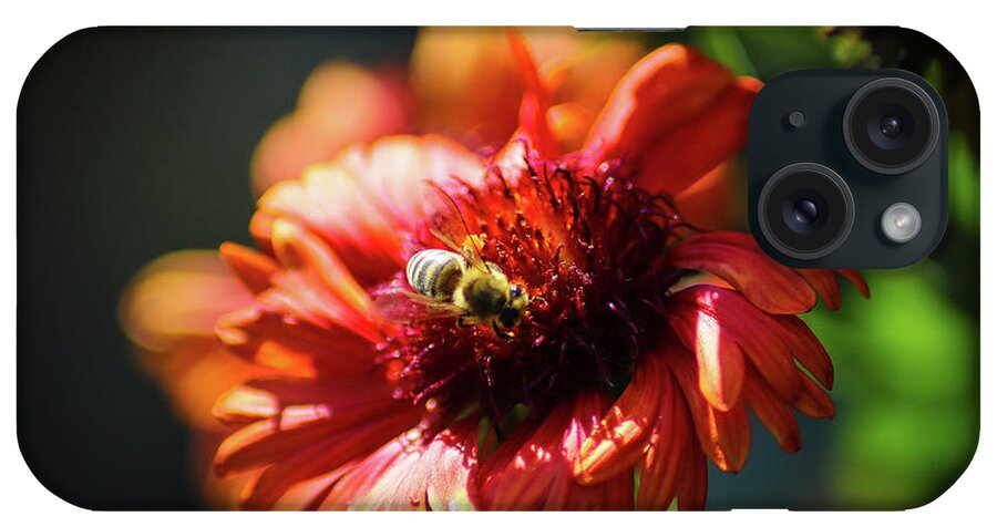 Flowers iPhone Case featuring the photograph Blanket Flower Bee by Marcus Jones