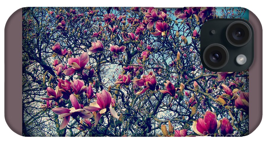 Nature iPhone Case featuring the photograph Blooming Magnolias by Frank J Casella