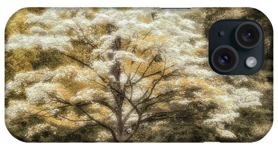 Blooming Tree iPhone Case featuring the photograph Blooming Tree and Bench by Louise Tanguay