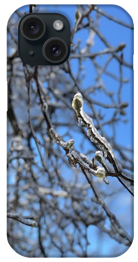 Winter iPhone Case featuring the photograph Blossom on Ice by Lisa Pearlman
