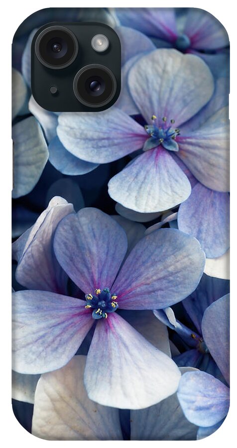 Background iPhone Case featuring the photograph Blue and purple hydrangea flowers by Jean-Luc Farges