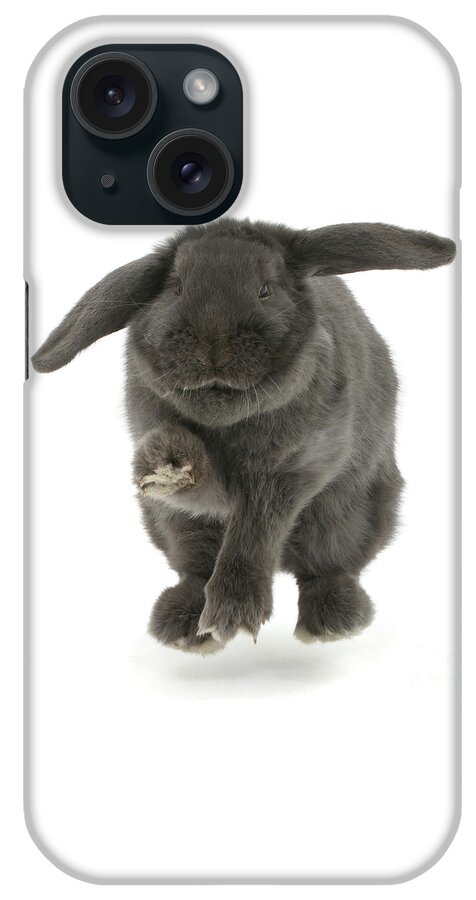 Blue iPhone Case featuring the photograph Blue Bunny Hop by Warren Photographic