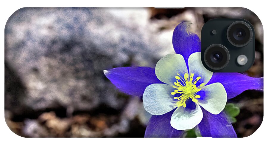 Columbine iPhone Case featuring the photograph Blue Columbine by Bob Falcone
