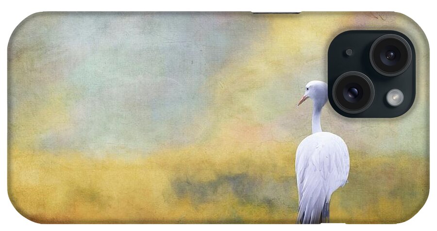 Blue Crane iPhone Case featuring the photograph Blue Crane In The Field by Eva Lechner