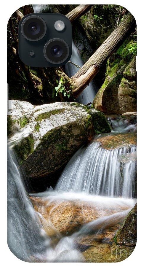 Nature iPhone Case featuring the photograph Blue Hole Falls 11 by Phil Perkins