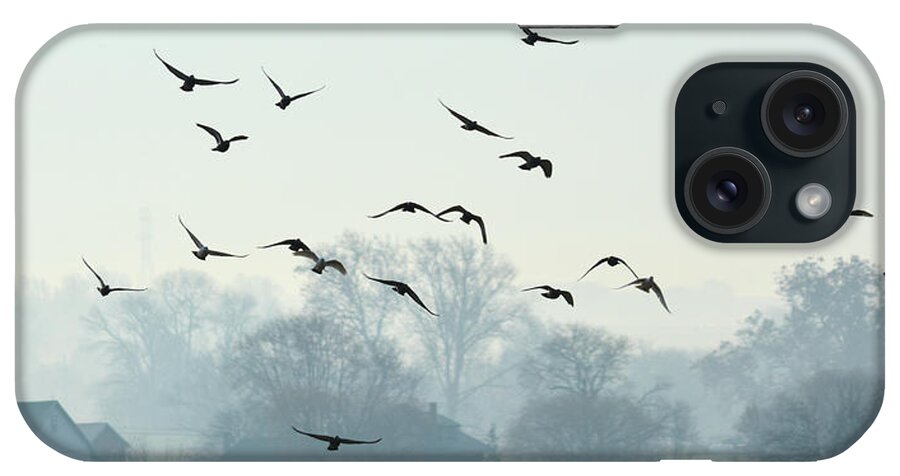 Birds iPhone Case featuring the photograph Blue Migration by Tana Reiff
