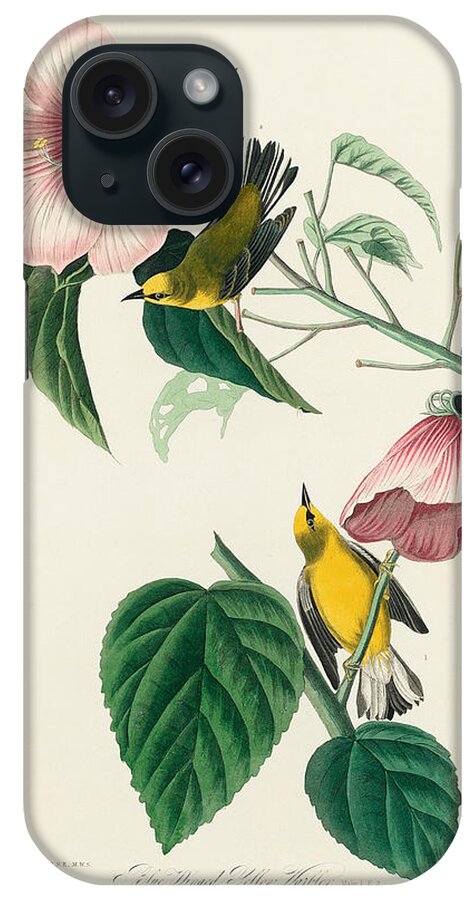 Blue Winged Yellow Warbler iPhone Case featuring the mixed media Blue Winged Yellow Warbler. John James Audubon by World Art Collective