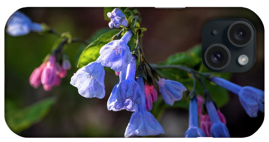 Fine Art America iPhone Case featuring the photograph Bluebells Up Close by Scott Bean