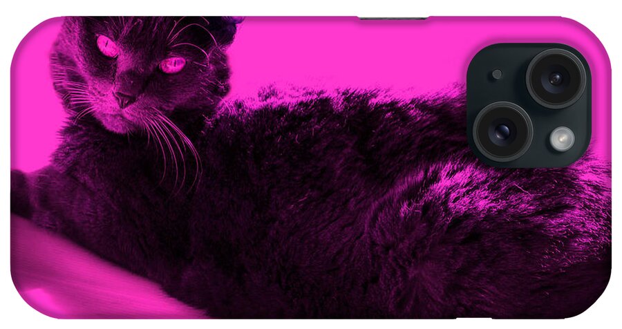 American Shorthair iPhone Case featuring the photograph Bluz in Neon Pink by Judy Kennedy