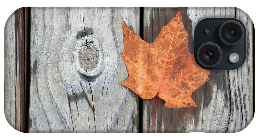 Fall Maple Leaf iPhone Case featuring the photograph Boardwalk Companions 4 102120 by Mary Bedy