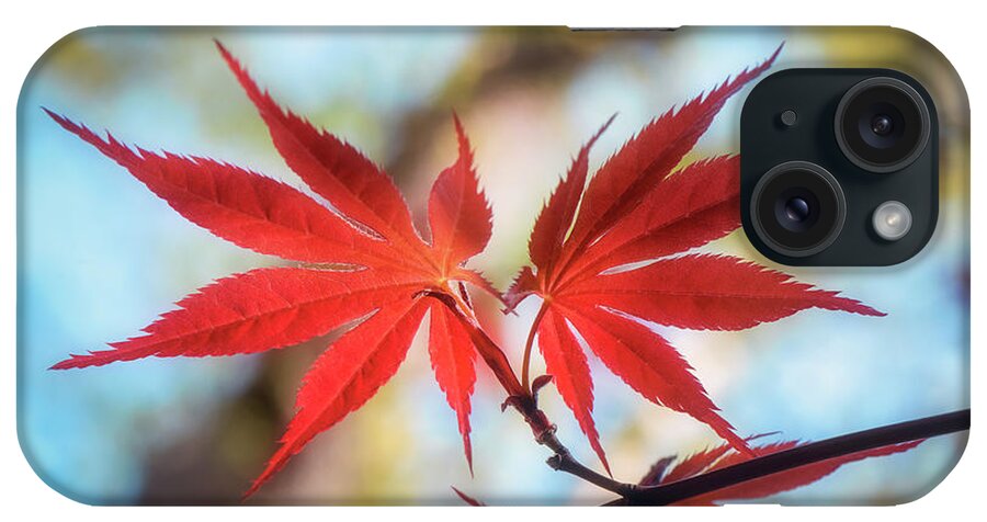 Leaves iPhone Case featuring the photograph Born to Die Together by Philippe Sainte-Laudy